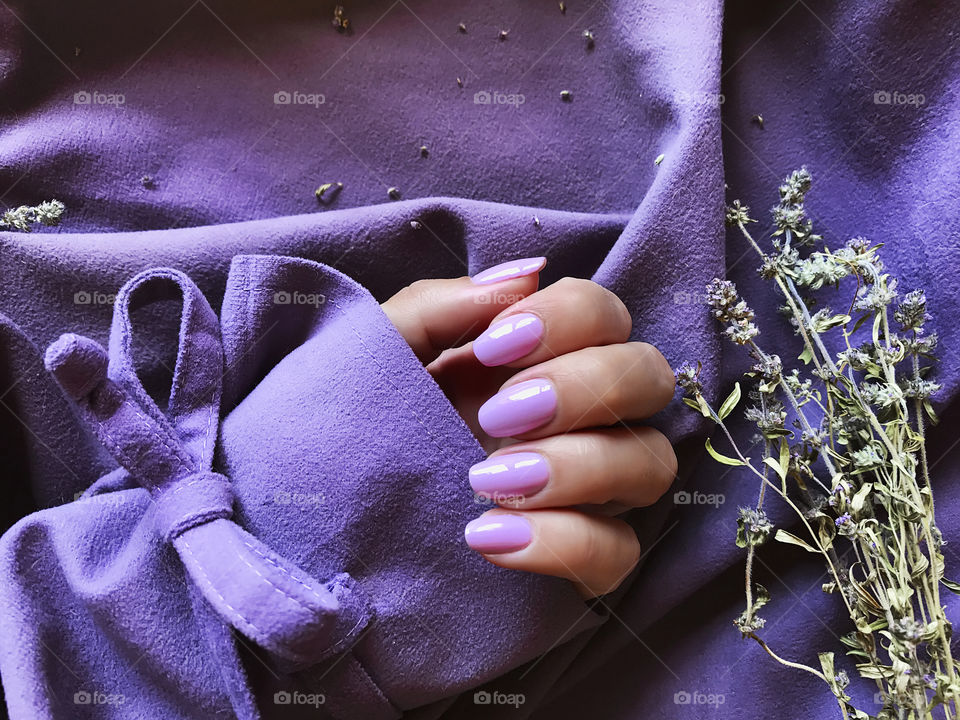 Female hand with purple manicure with lavender on purple textile background 