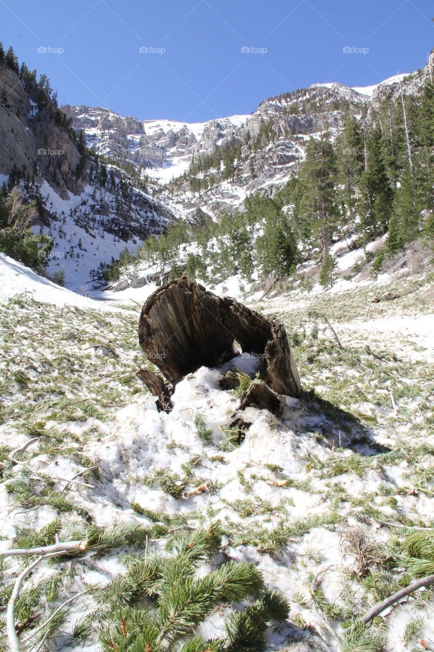 Snowy mountain in winter