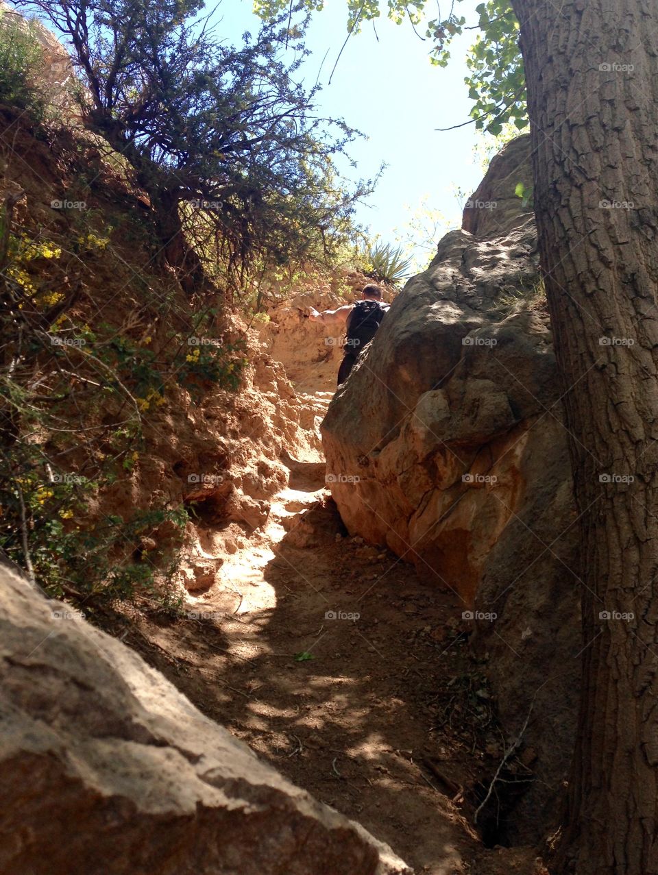 Rocky Hiking Path 