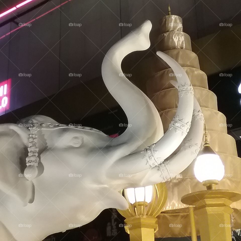 The white elephant adore you . Lucky sign ช้างเผือกไหว้ท่าน ช้างมงคล