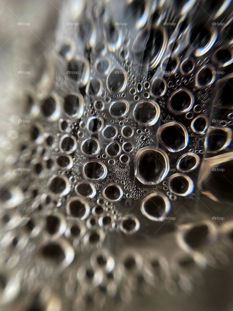 Moisture in a cellophane bag