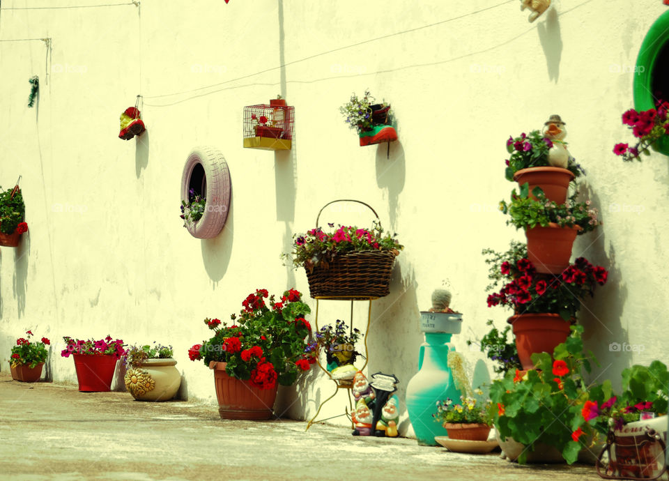 flowers hanging in wall