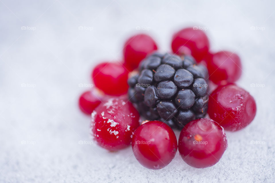 blackberry and cranberries 