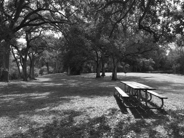 Day at the park