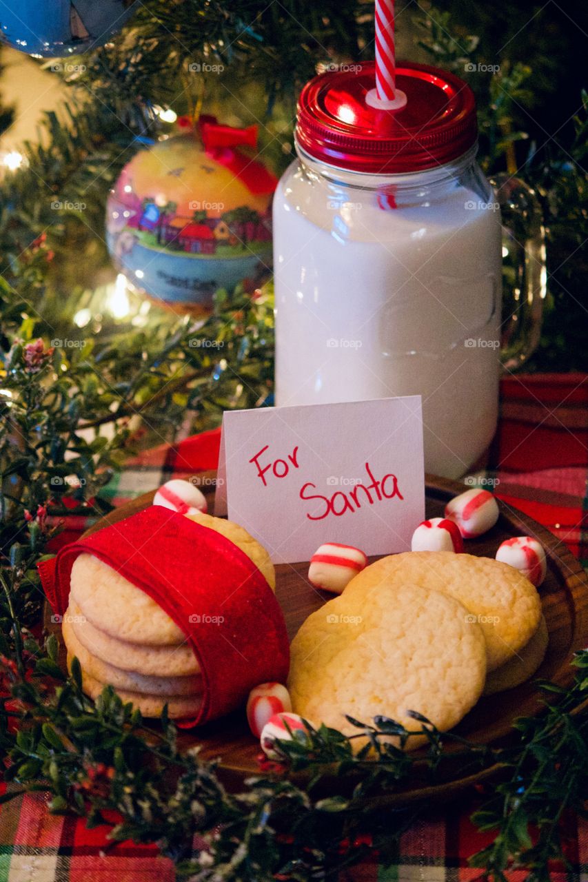 Christmas cookies and milk for Santa 