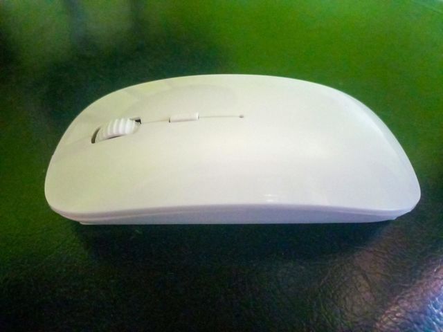white mouse