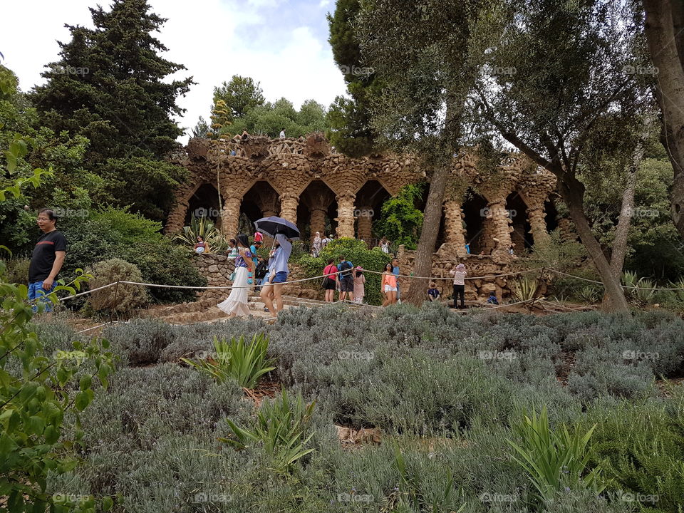 Park guell view panoramic Barcelona Barcelone museum pedrera lapedrera diagonal street Barcelona Barcelone museum