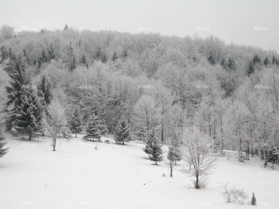 winter in mountains