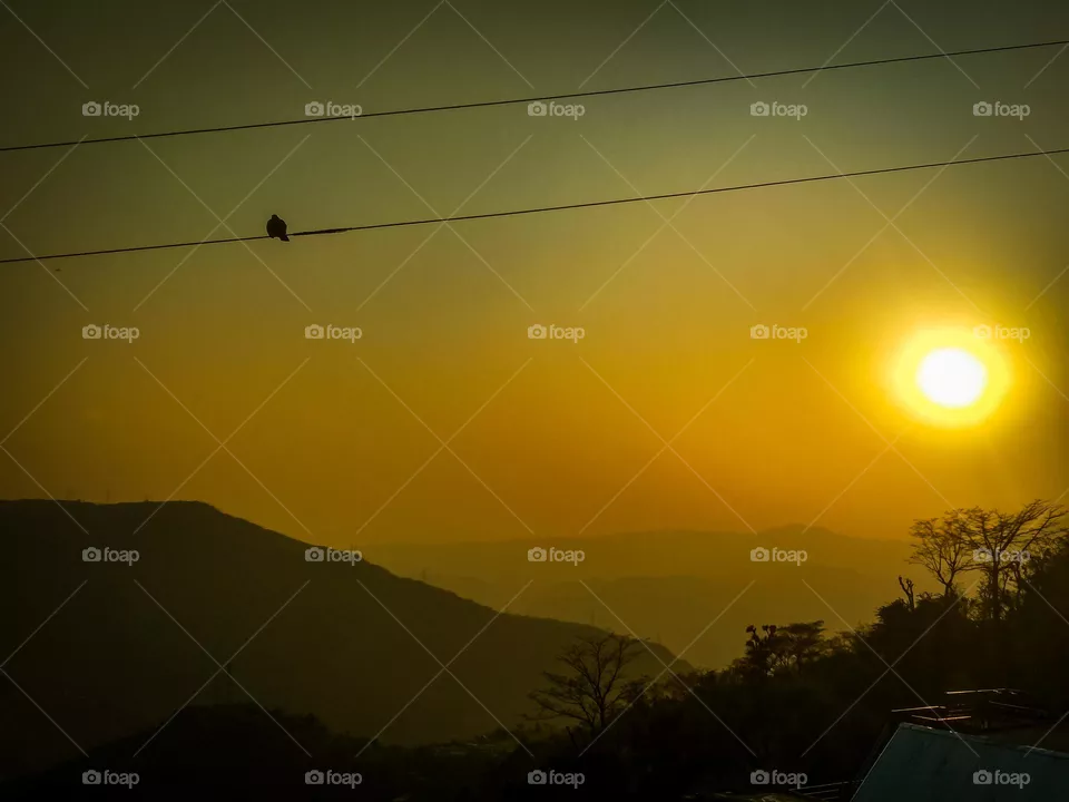 amazing sunset
