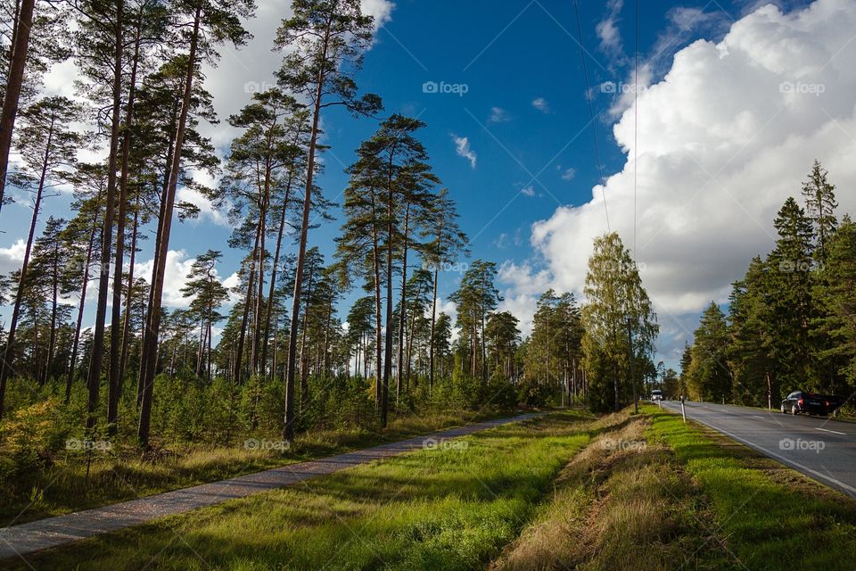 Beautiful nature and views of Estonia