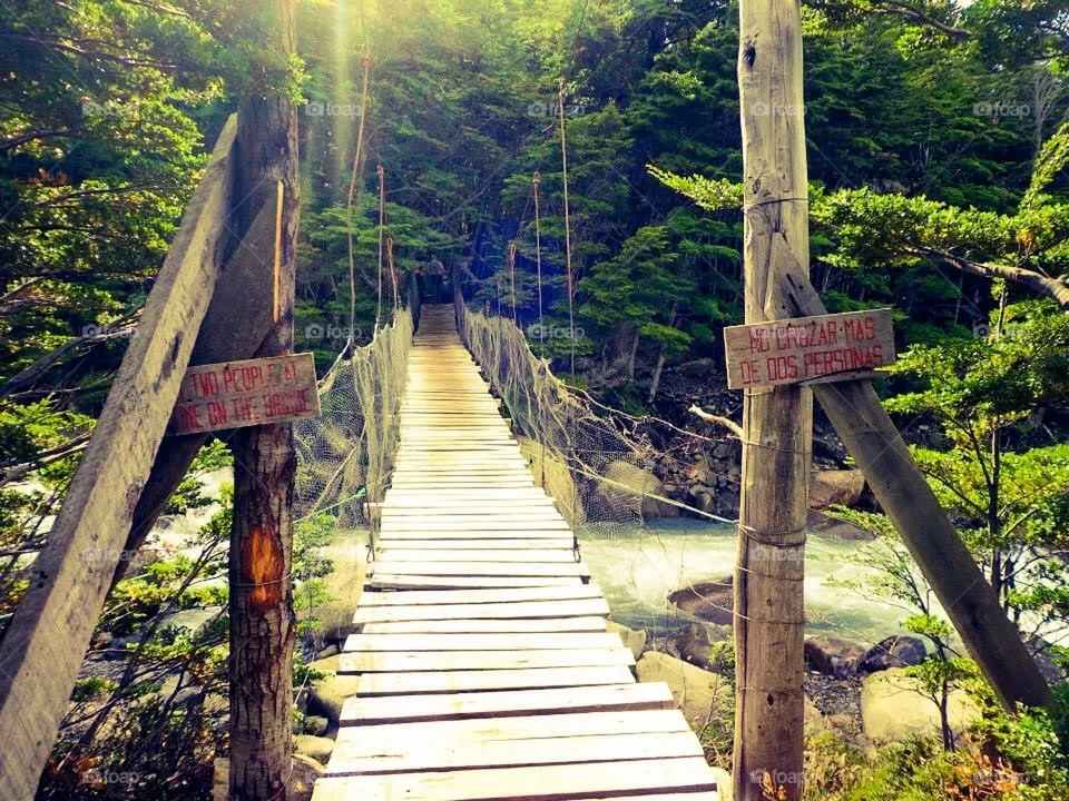 Bridge 