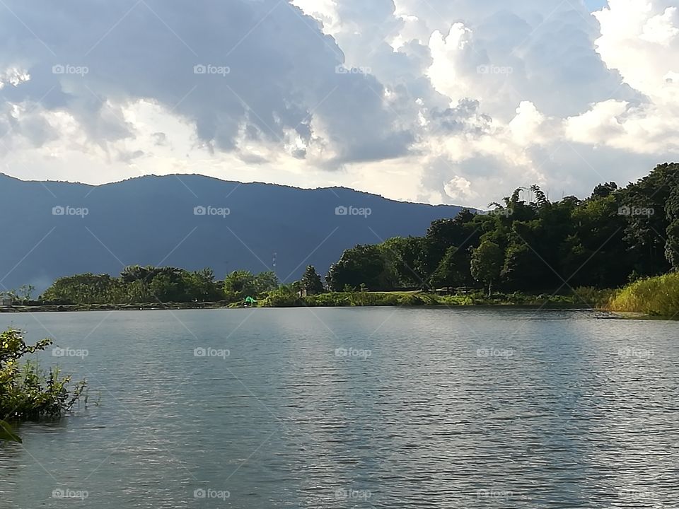 lagoon in summer