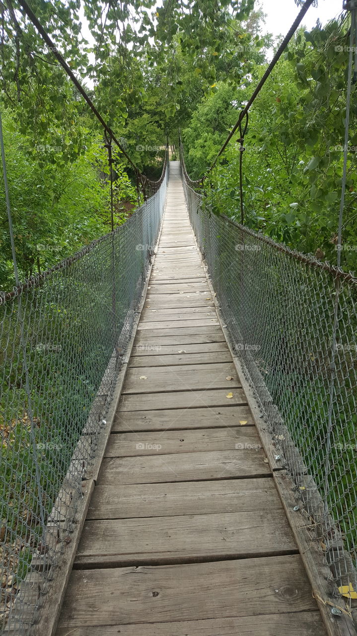 bridge