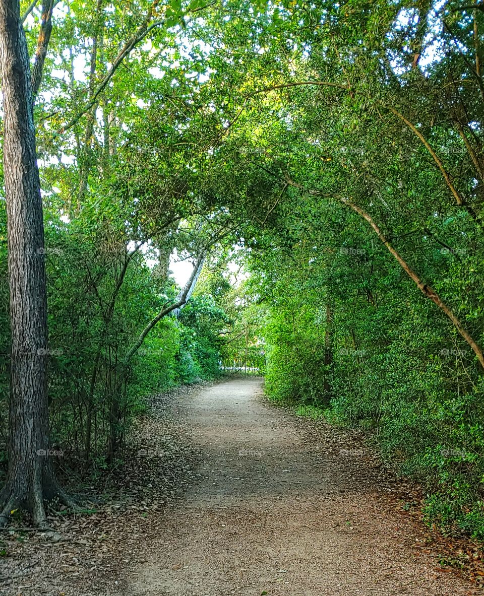 Nature Trail