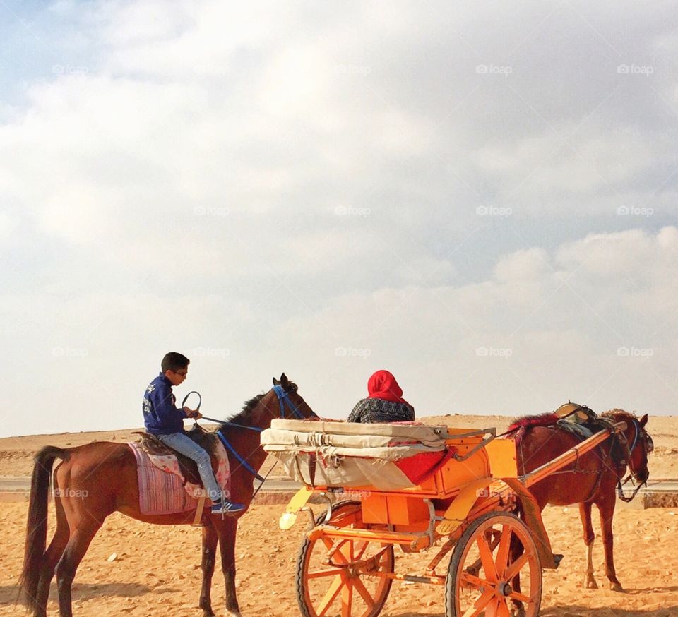 Horse Carriage Ride at the Pyramids of Giza