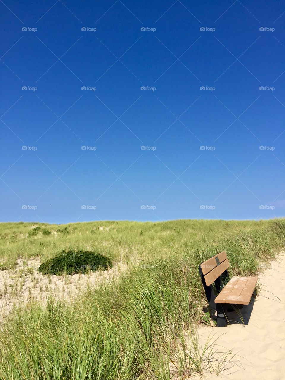 Lonely bench on Nauset Beach ,MA