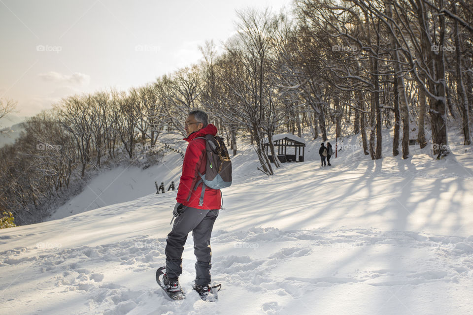 snowshoe guide walking on the snow through the forest on a winter sunny day in Sapporo Hokkaido Japan