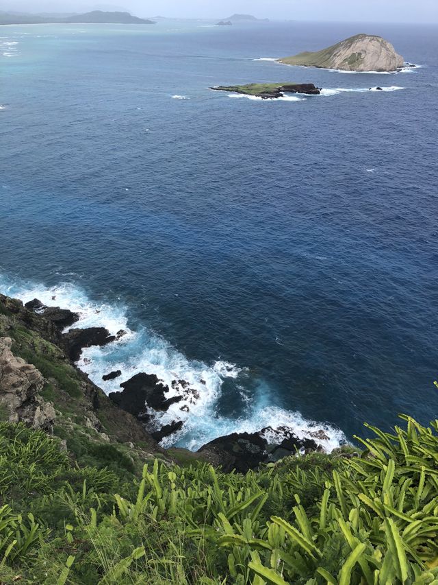 Waves