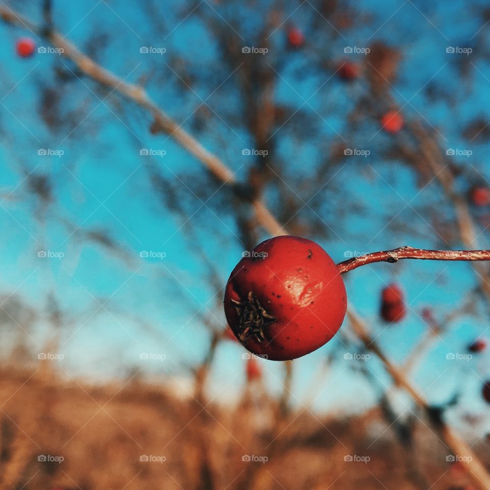 red