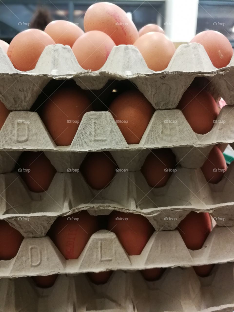 Eggs