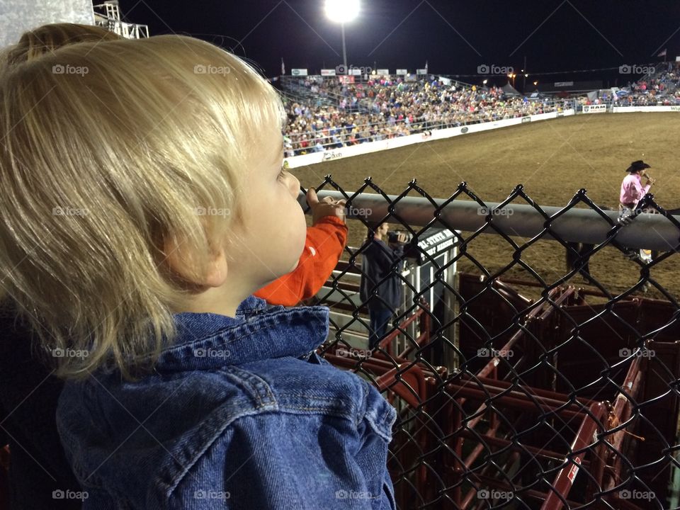 Watching the rodeo