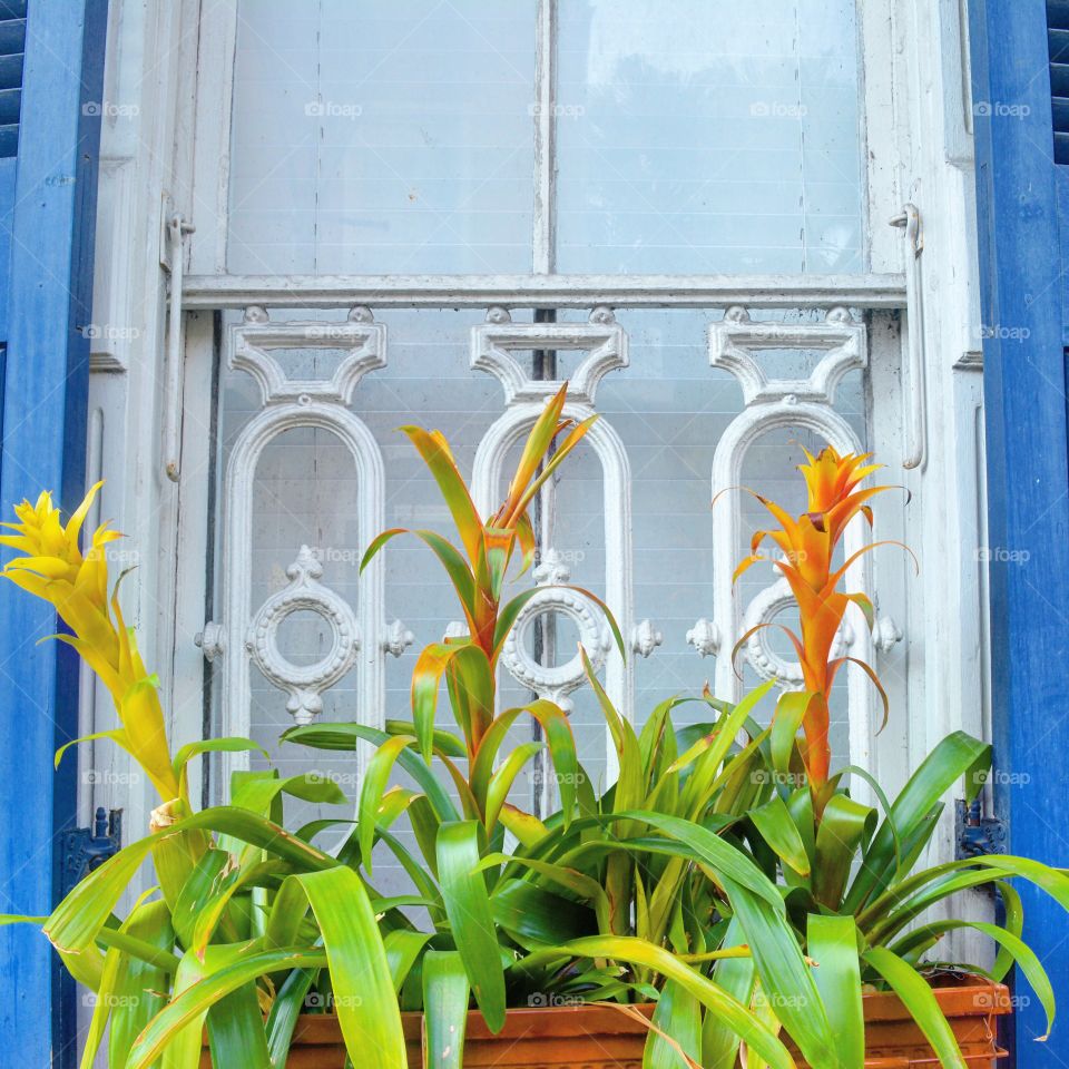 New Orleans. Getting lost in Nawlins' colors.