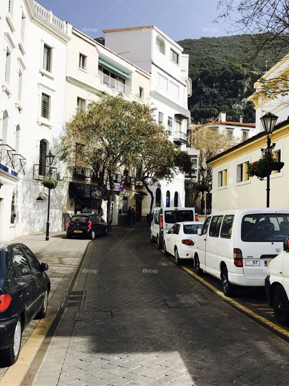 Street-cars-taxis-trees-outdoor 