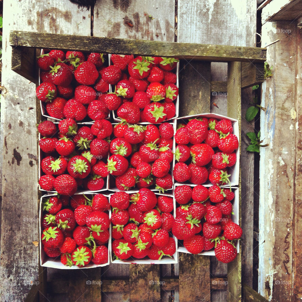 strawberries by lenah