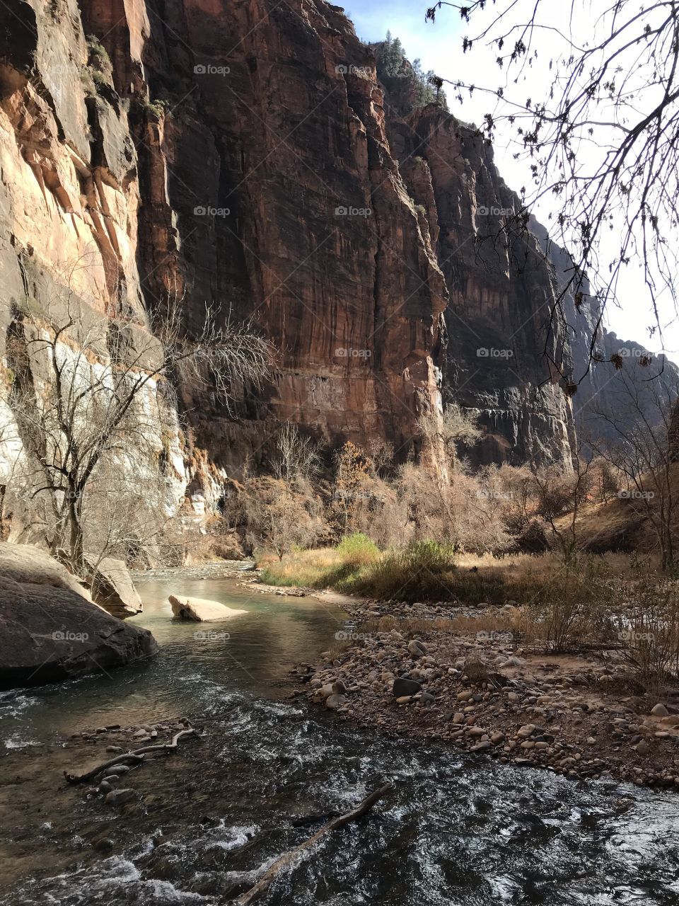 Zion National park valley