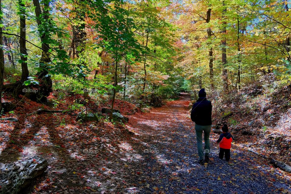 Family hike in New England 