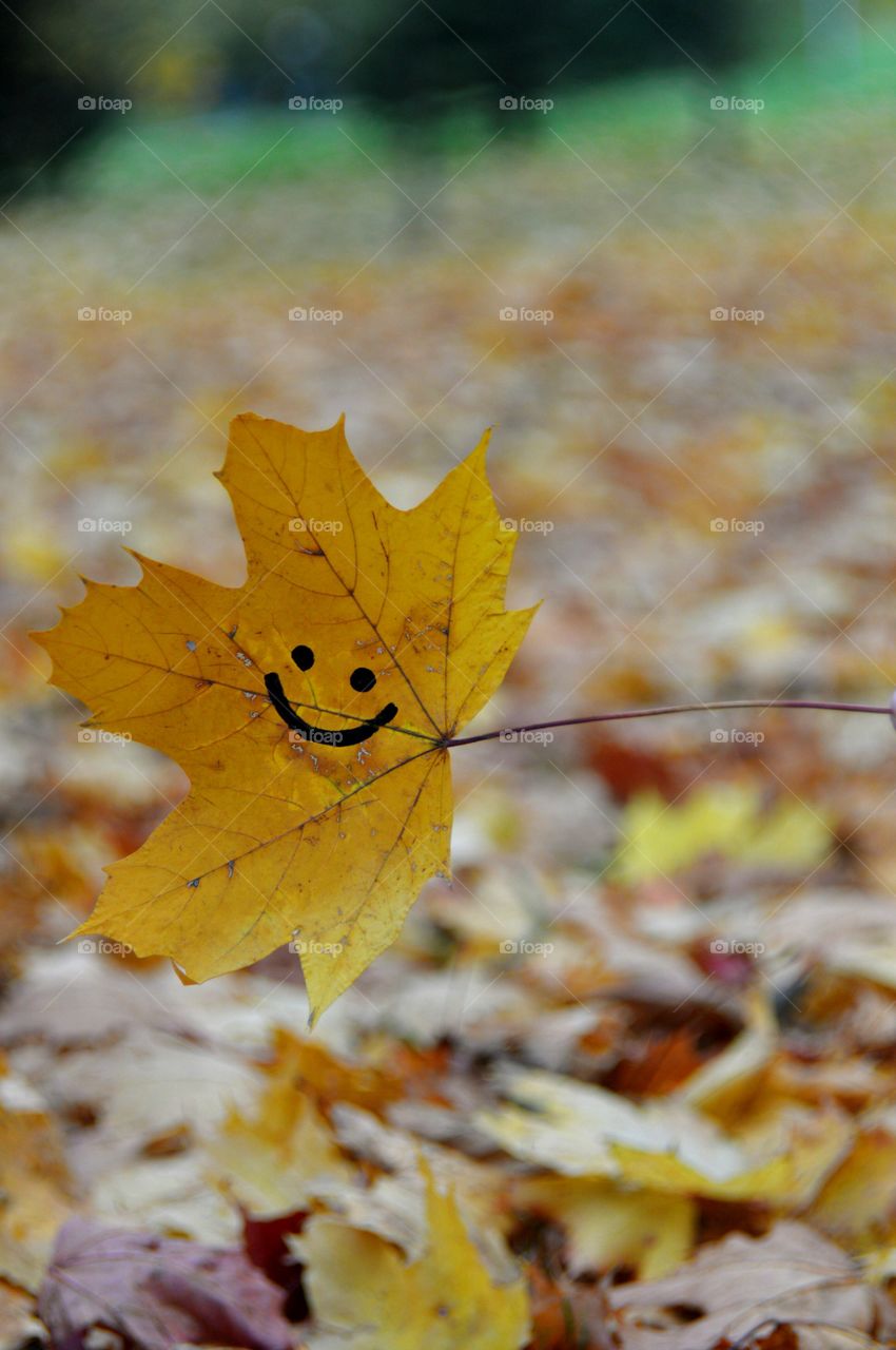 Maple leave and smile