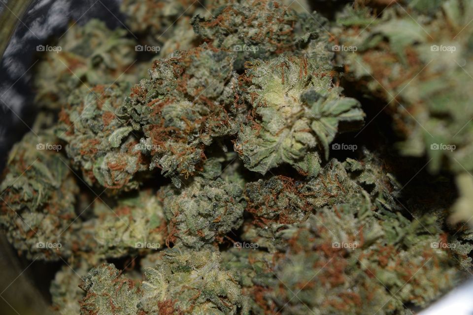 2016 uploads variety of shots