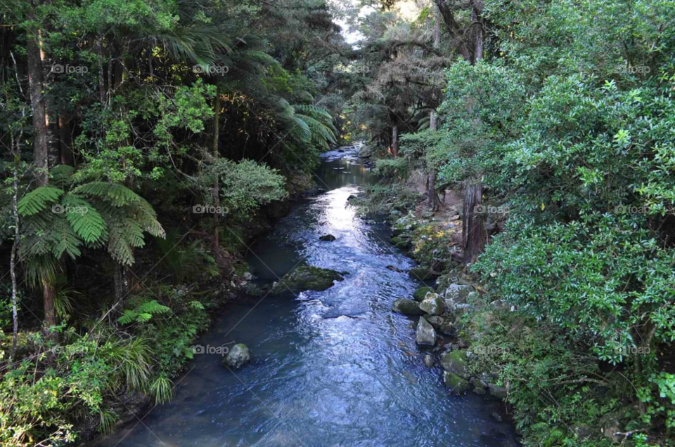 nature water new zealand stream by micheled312