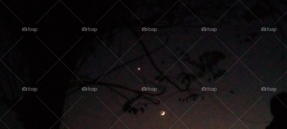 The moon of the night is a calm, wonderful view, nature