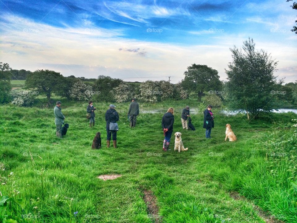 Gundog training class