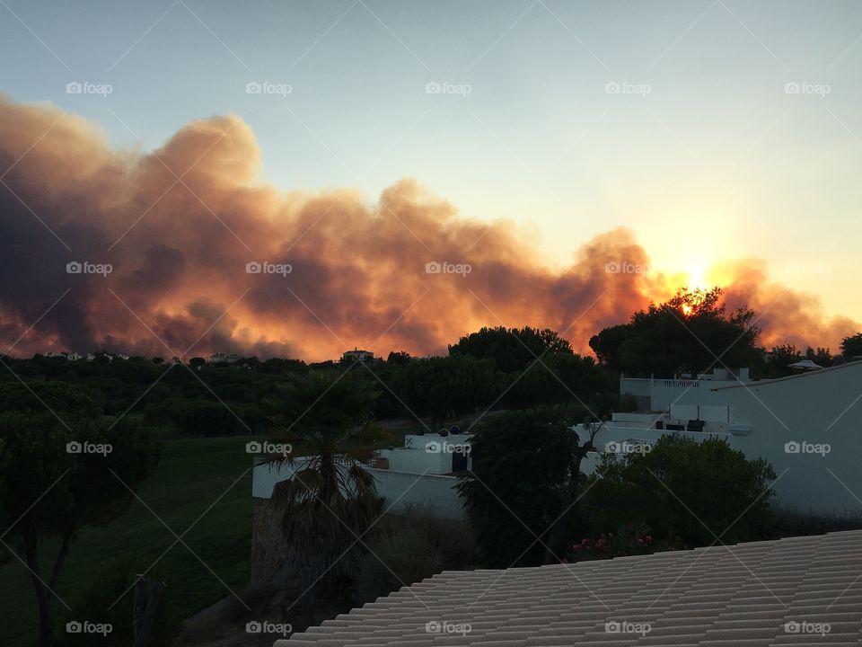 Natural big fire progressing on wild area by hot summer day