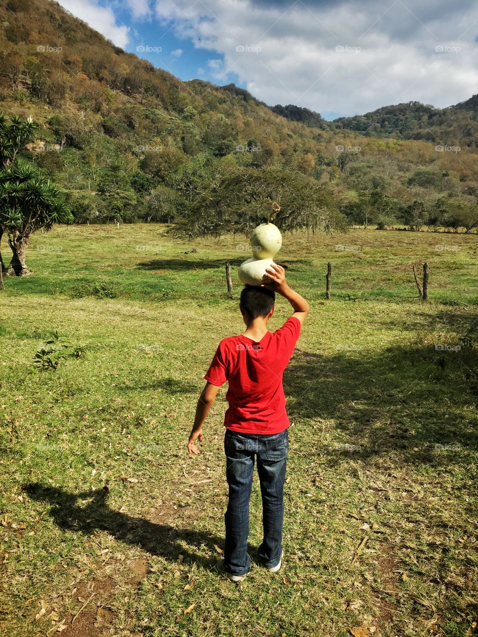 Balancing a gourd