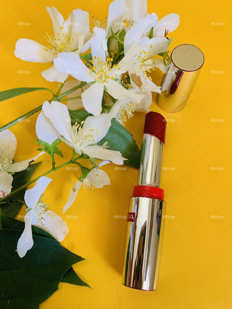 “No hobby? No problem! Start it now, grab a make up learn the DIY make up practice”~ S. Gibson