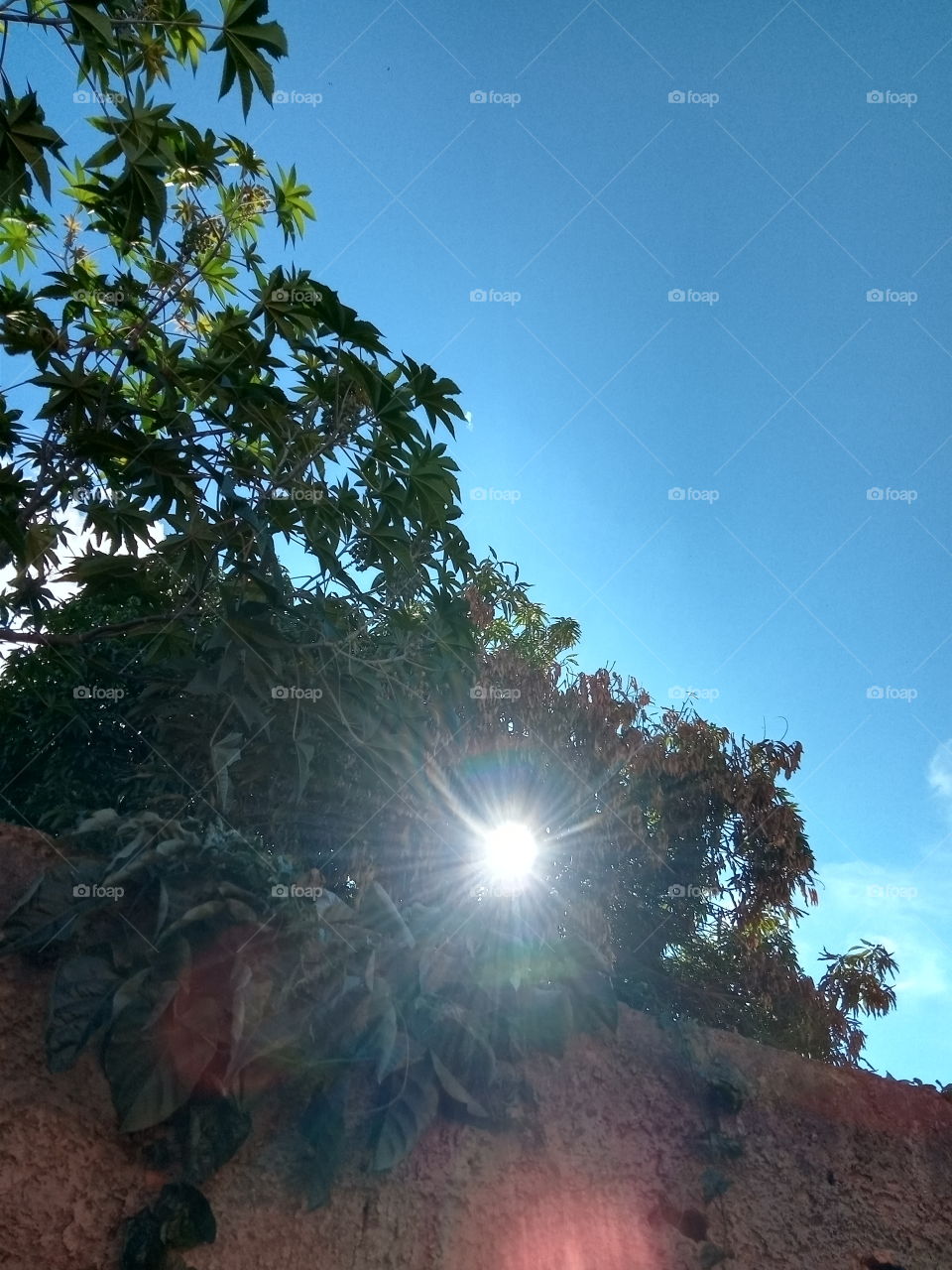 A Natureza e seus encantos!