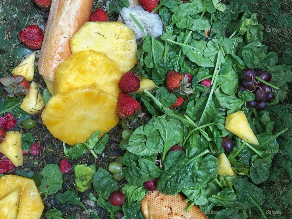 Old Fruit And Vegetables In A Compost Bin