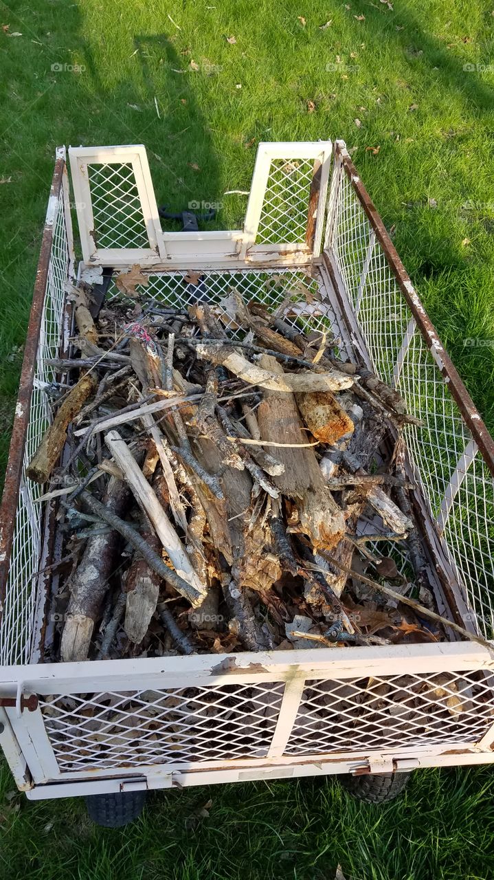 cart full of sticks after spring clean up