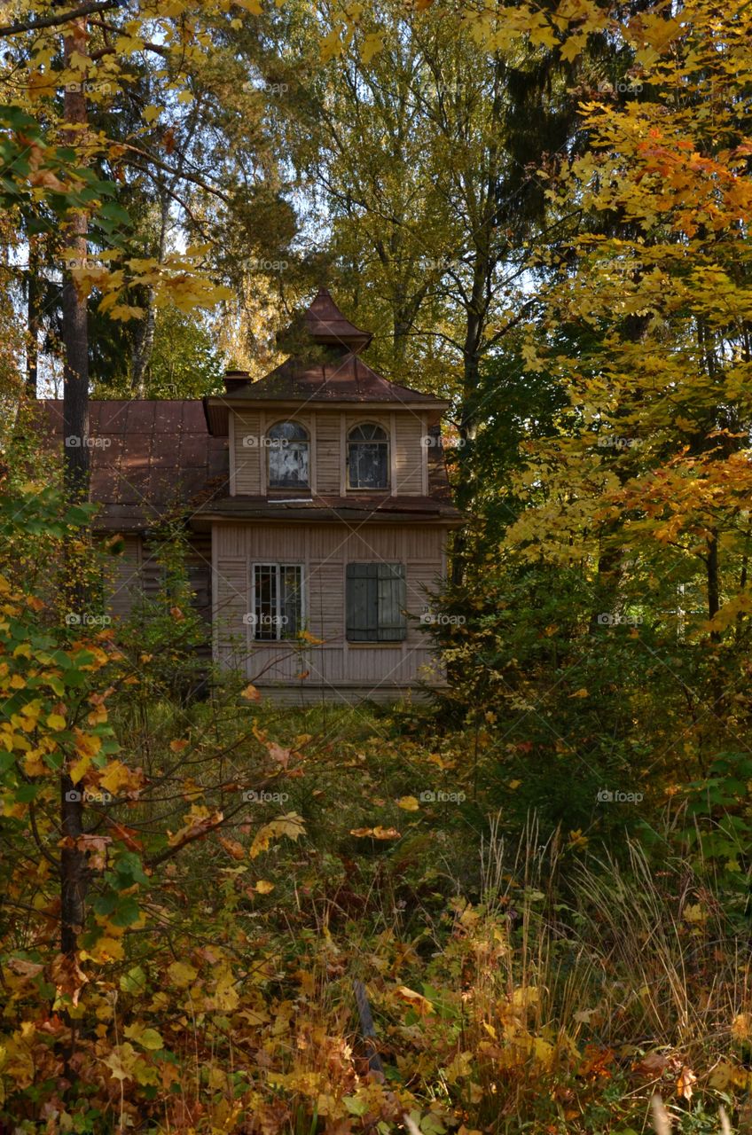 Old house in the autumn garden