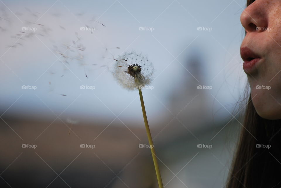 Dandelion wish. Girl blowing a dandelion 