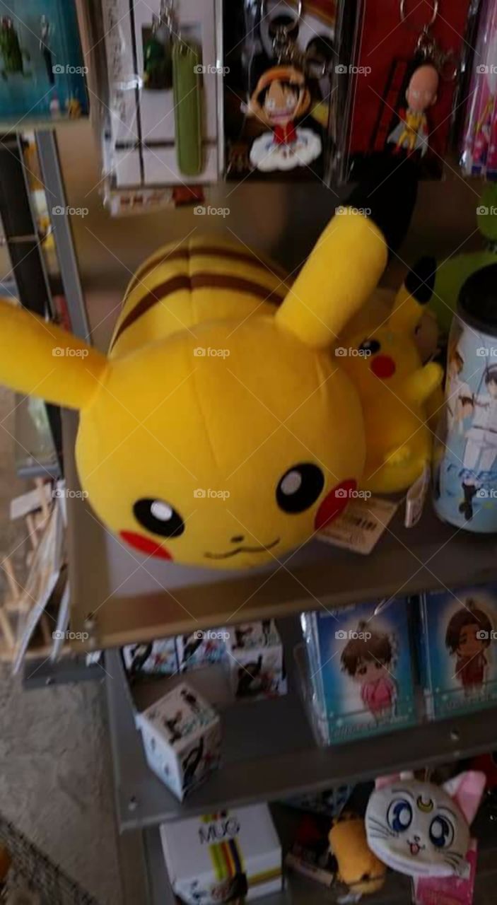 Japanese Popular Items and Characters