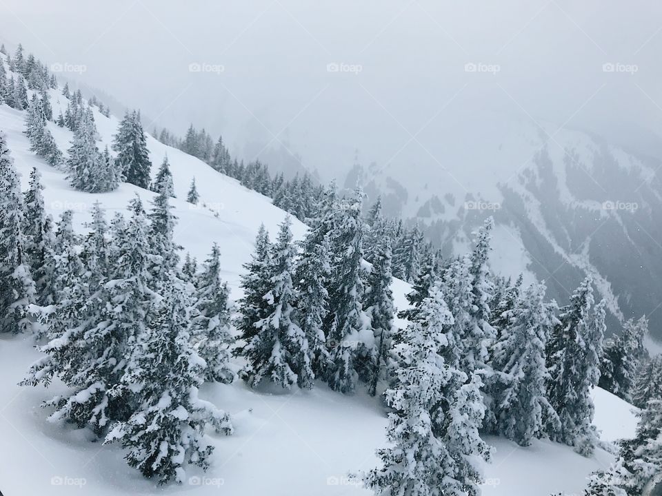 Snow storm in the mountains