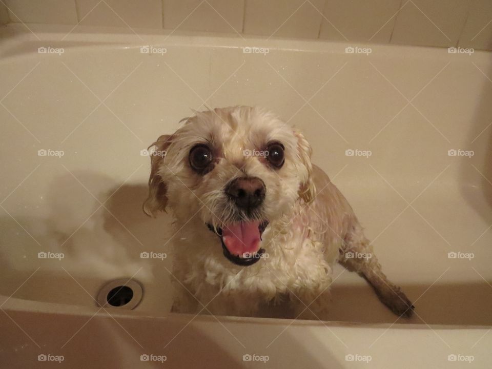 Jenna having her bath