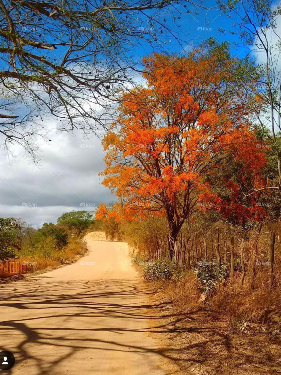 Brazilian paradise world