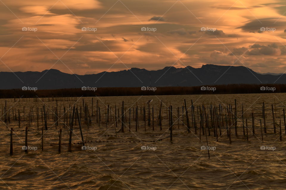 Atardecer en la albufera, Valencia. España-Sunset in La Albufera, Valencia. Spain