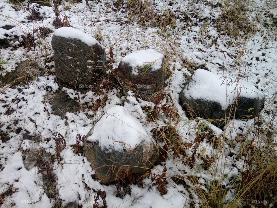 Stones under the first snow