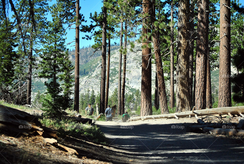 People hiking in mountain